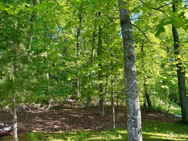 House for sale in Todd, Minnesota