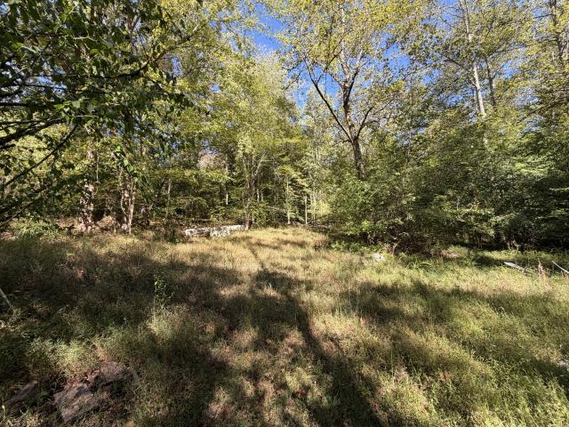 Land for sale in Holly Creek, Iron City