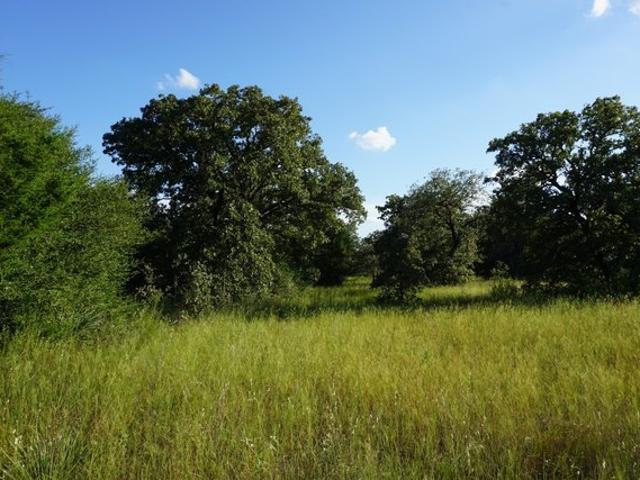 Land for sale in Athens, Henderson County