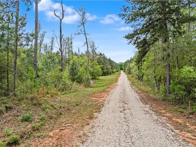 Land for sale in Franklinton, Louisiana