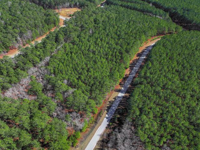 Land for sale in Tignall, Georgia