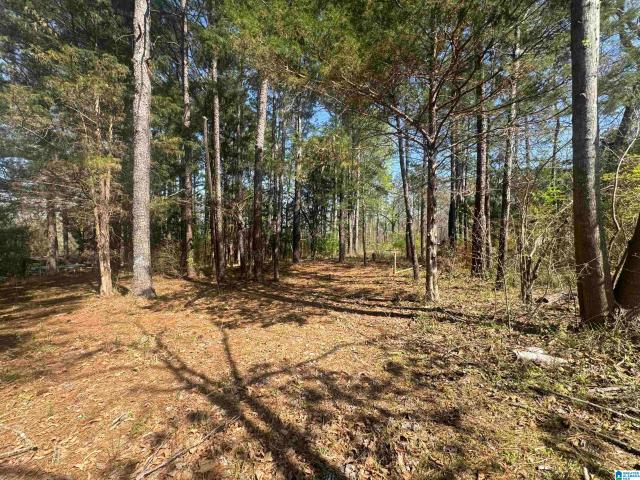 Land for sale in Blount, Alabama