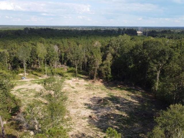 Land for sale in Roseland, Louisiana