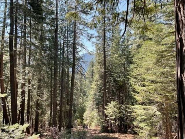 Land for sale in Nevada City, Nevada County