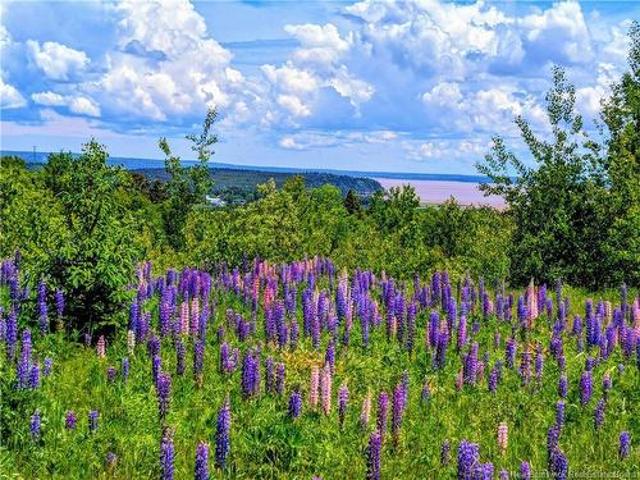 Land for sale in Albert, New Brunswick