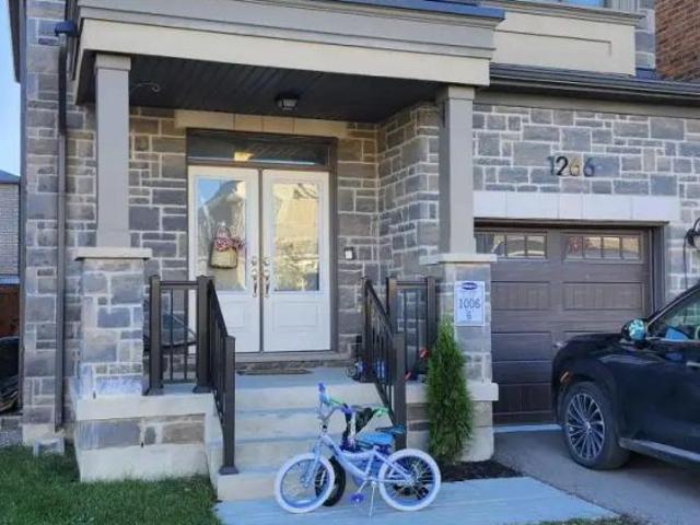House for rent in Milton, Golden Horseshoe