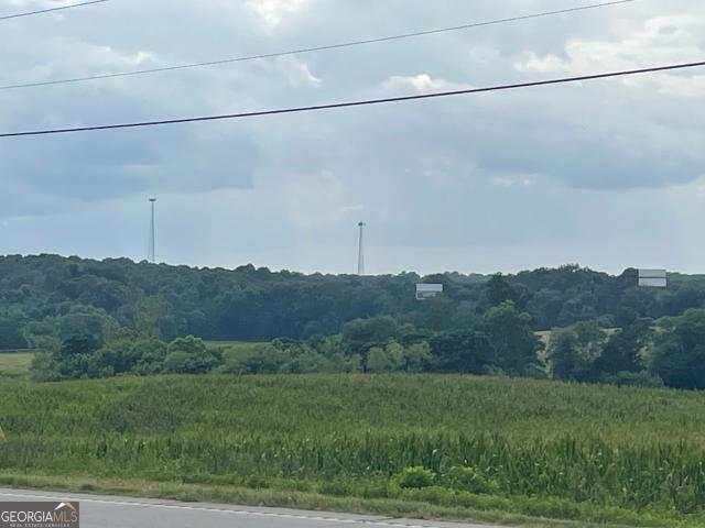 Land for sale in Carnesville, Georgia