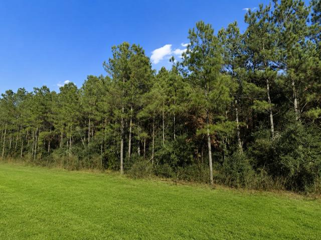 Land for sale in Willis, Texas
