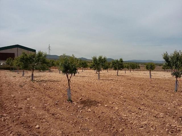 Terreno en venta en Comarca de València, Valencia