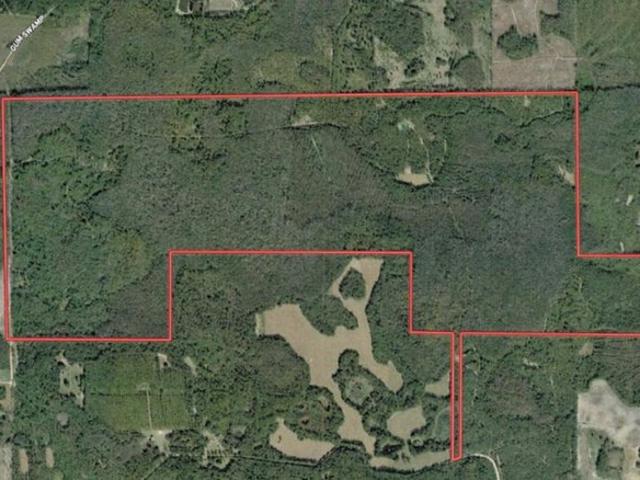 Land for sale in Greenville, Florida