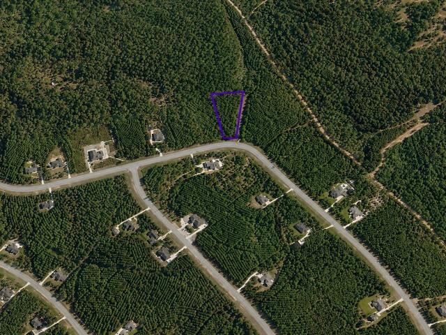 Land for sale in Willis, Texas