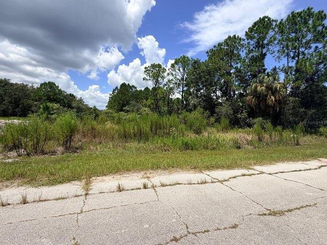 Land for sale in Florida