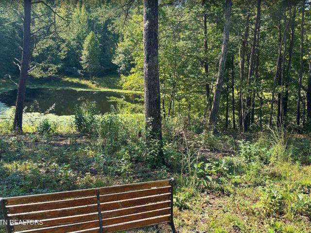 Land for sale in East Tennessee, Tennessee