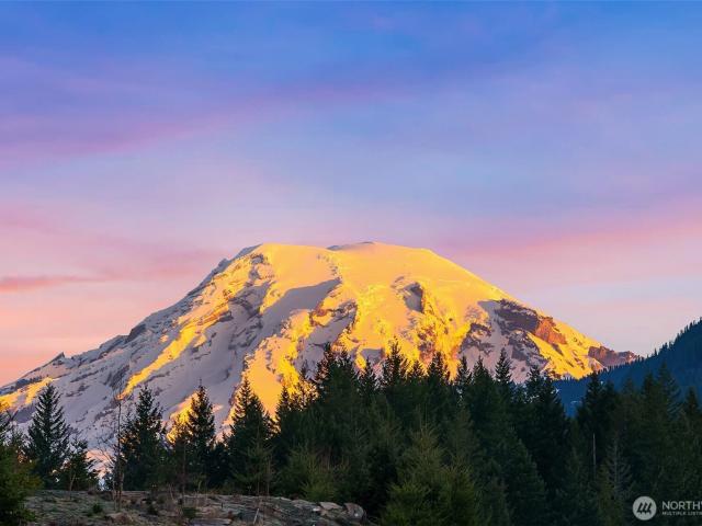 House for sale in Packwood, Lewis County