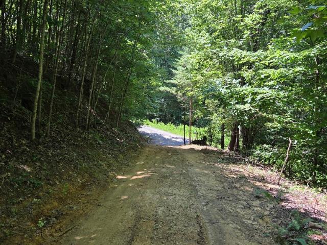 Land for sale in Tennessee