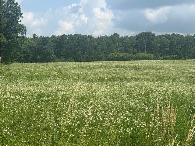 Land for sale in Candor, New York