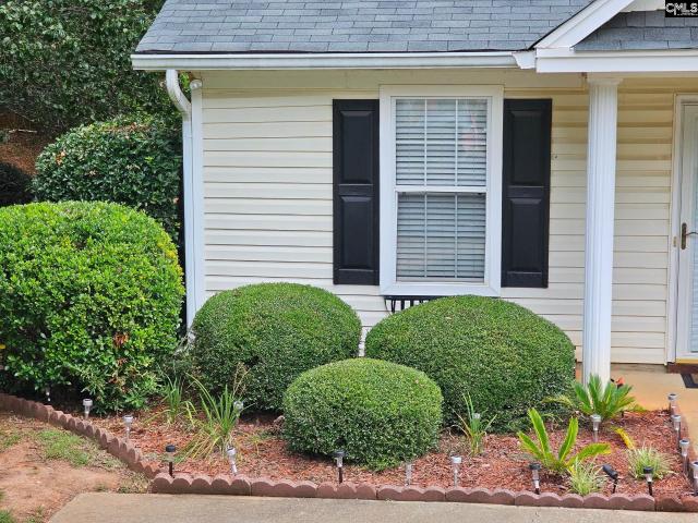 House for sale in Chapin, South Carolina