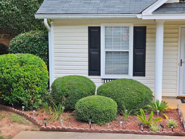 Property for rent in Chapin, South Carolina