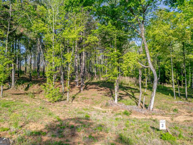 Land for sale in Baldwin, Georgia