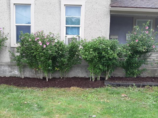 Apartment for rent in Niagara, Ontario