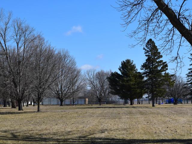 Land for sale in Minnesota Lake, Minnesota