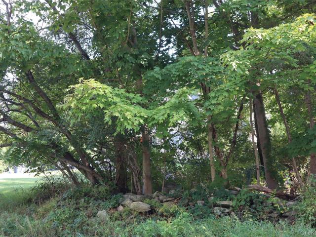 Land for sale in Modena, New York