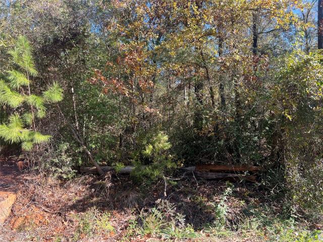 Land for sale in Polk, Texas