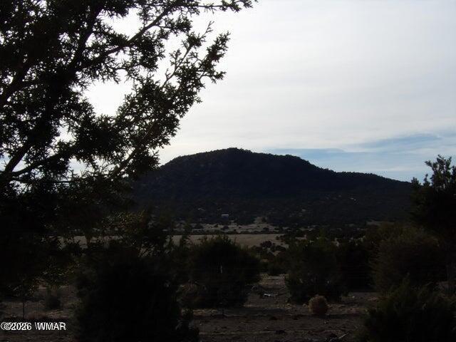 Land for sale in Arizona