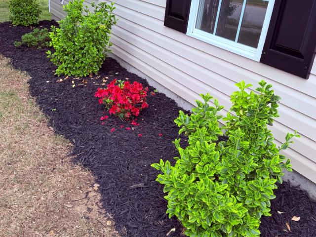 House for sale in Aiken, South Carolina