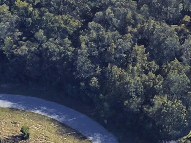 Land for sale in Pooler, Georgia