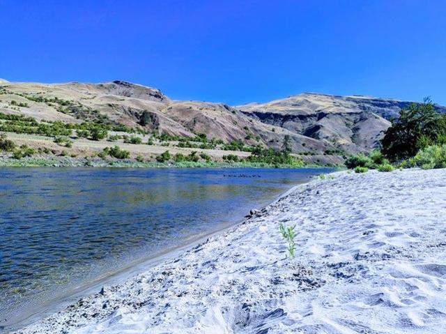 Land for sale in White Bird, Idaho