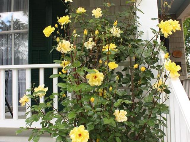 House for sale in Centreville, Maryland