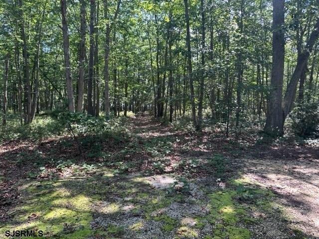 Land for sale in Ewan, New Jersey