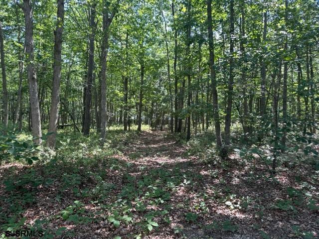 Land for sale in Ewan, New Jersey