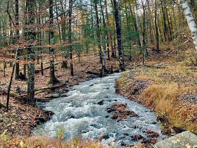 House for sale in Acra, New York