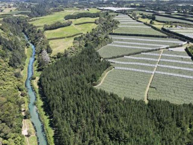 Property for sale in Bay Of Plenty