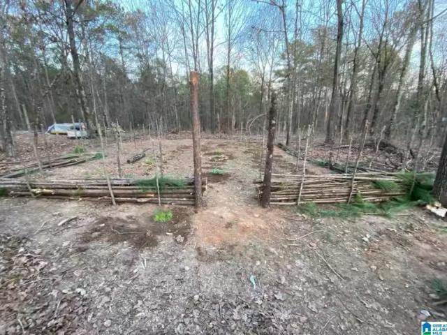 House for rent in Talladega House for rent in Talladega
