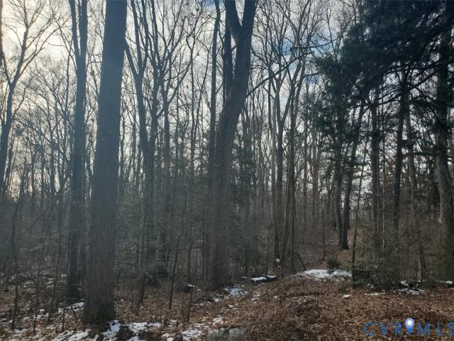 Land for sale in Virginia