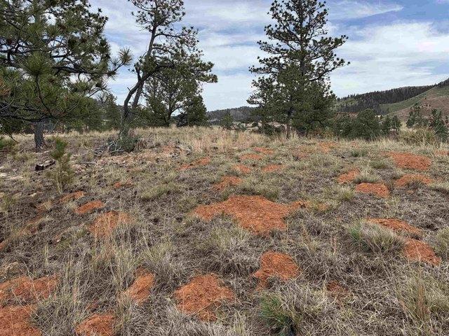 Land for sale in Hot Springs, Fall River County
