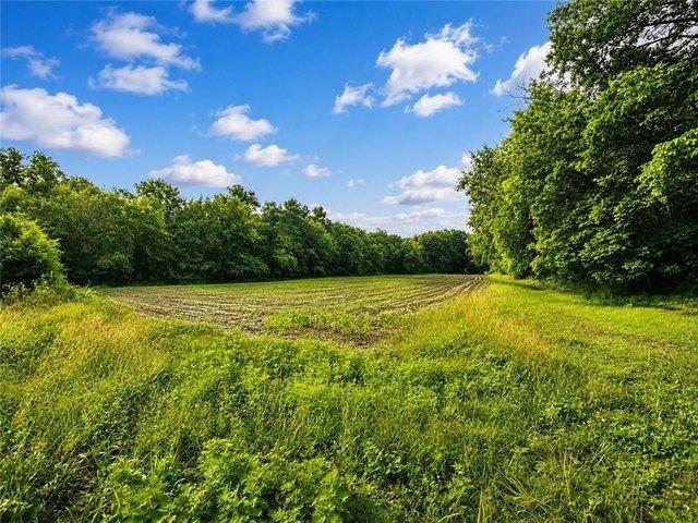 Land for sale in Lerna, Illinois