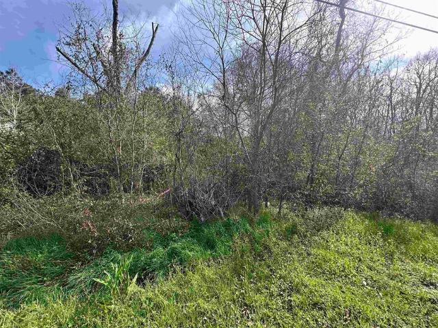 Land for sale in Vidor, Texas
