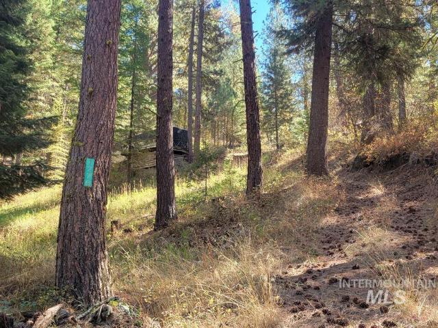 Land for sale in Cascade, Valley County