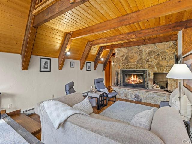 House for sale in Twin Lakes, Colorado