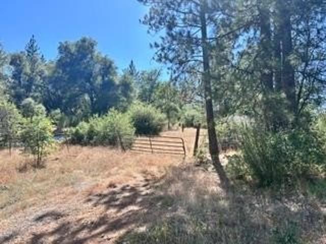 Land for sale in Sheep Ranch, California