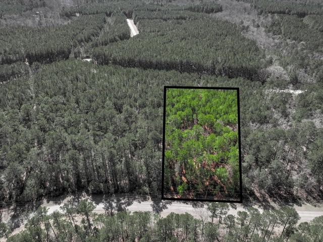 Land for sale in Tignall, Georgia
