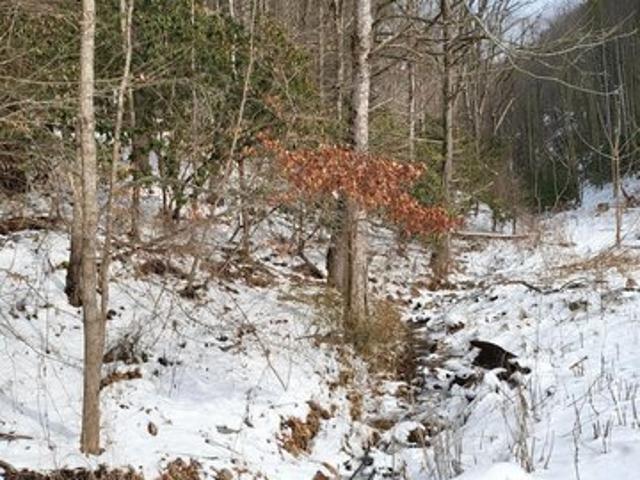 Land for sale in Tennessee