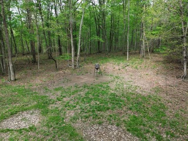 Land for sale in Argillite, Kentucky