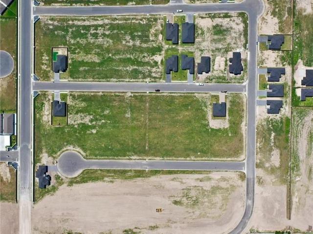 Land for sale in Hidalgo, Texas