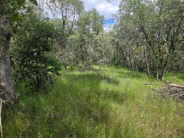 Land for sale in Grass Valley, California