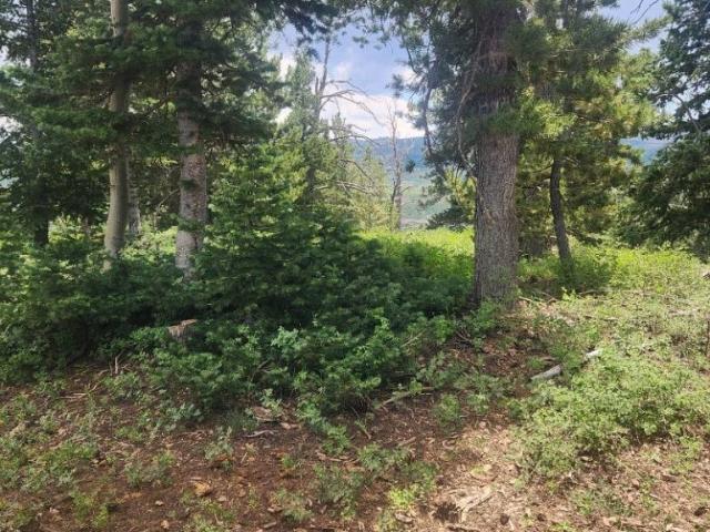 Land for sale in Brian Head, Utah